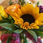 Hotel Ambiente Et Art