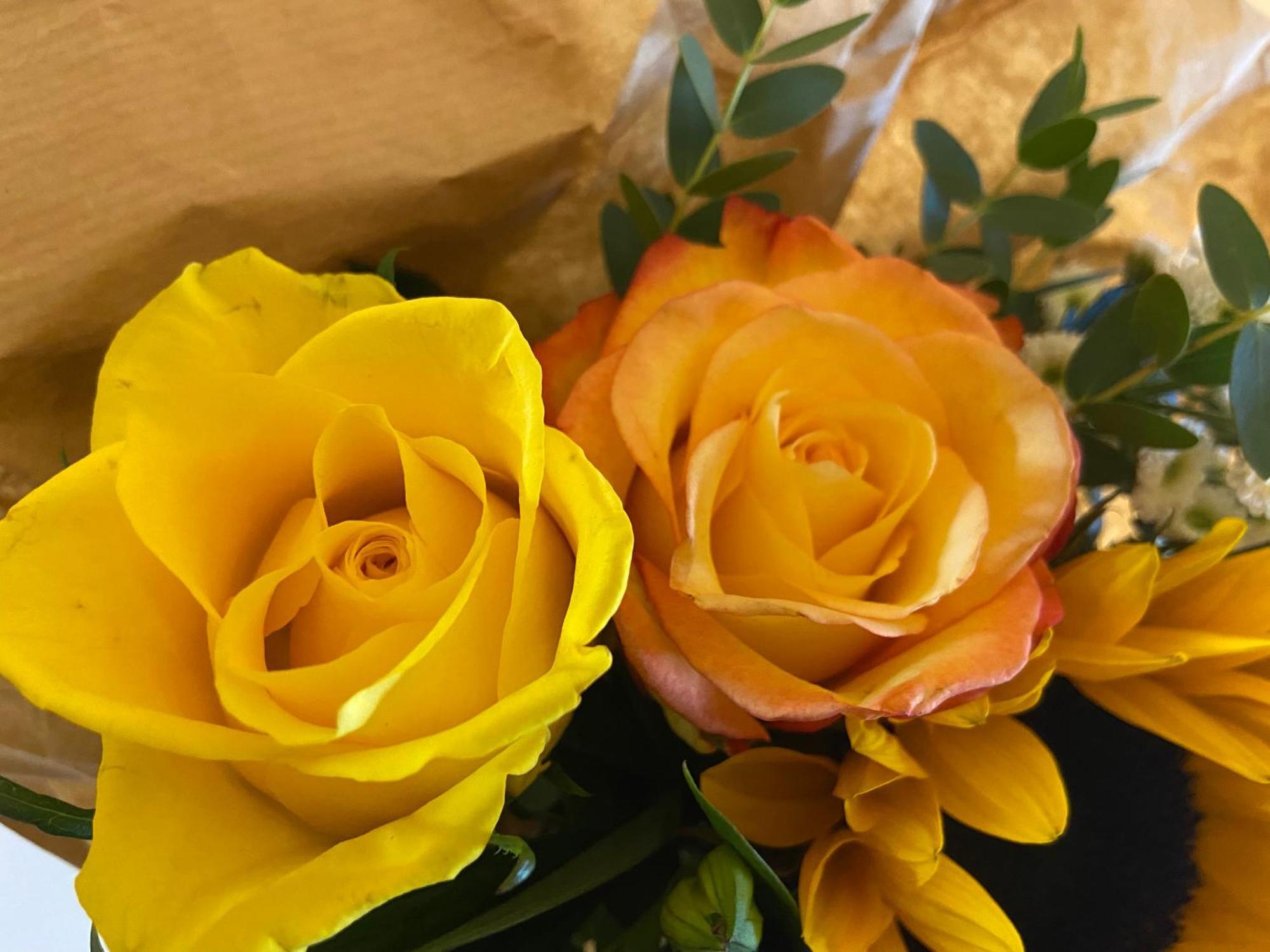 Guest house Ambiente Et Art Dusseldorf